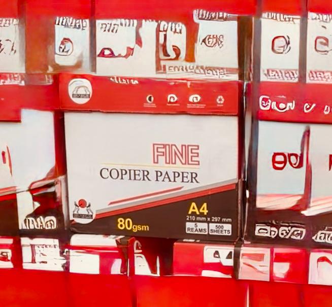 Fine Copier A4 Paper 5reams per box (2500sheets)